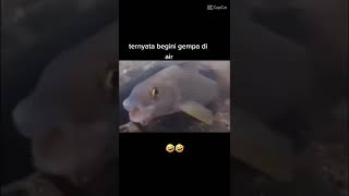 Download lagu gempa 🗿🗿|meme # 1000 mp3 Download lagu gempa 🗿🗿|meme # 1000 mp3