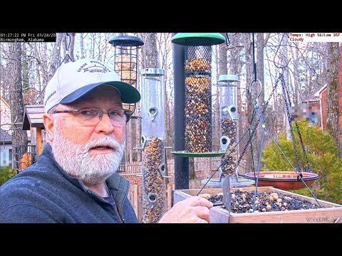 Feeder Talk - Episode #2 - From Alabama Bird Feeder Cam