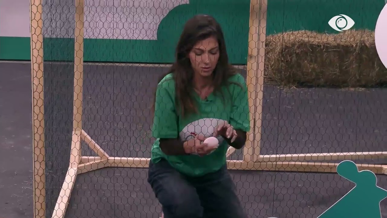 Sfida ‘Ovvital’/ Aldo,Loredana dhe Gjesti nisin sfidën e vezës