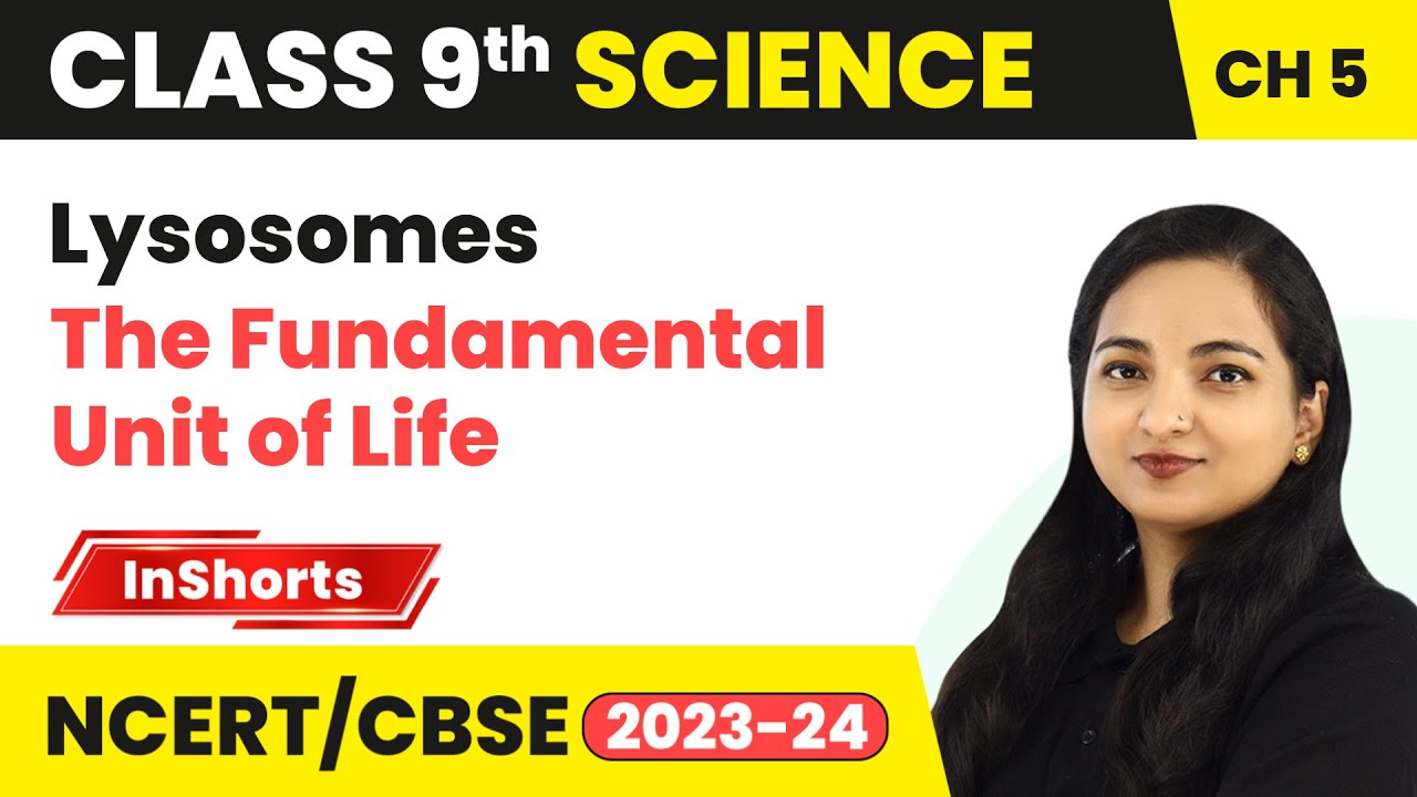 Lysosomes | Class 9 Biology Chapter 5 | The Fundamental Unit of Life