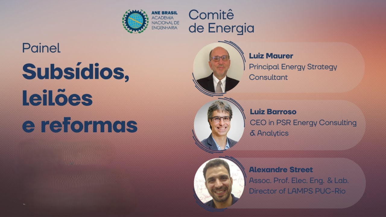 Painel Subsídios, Leilões e Reformas