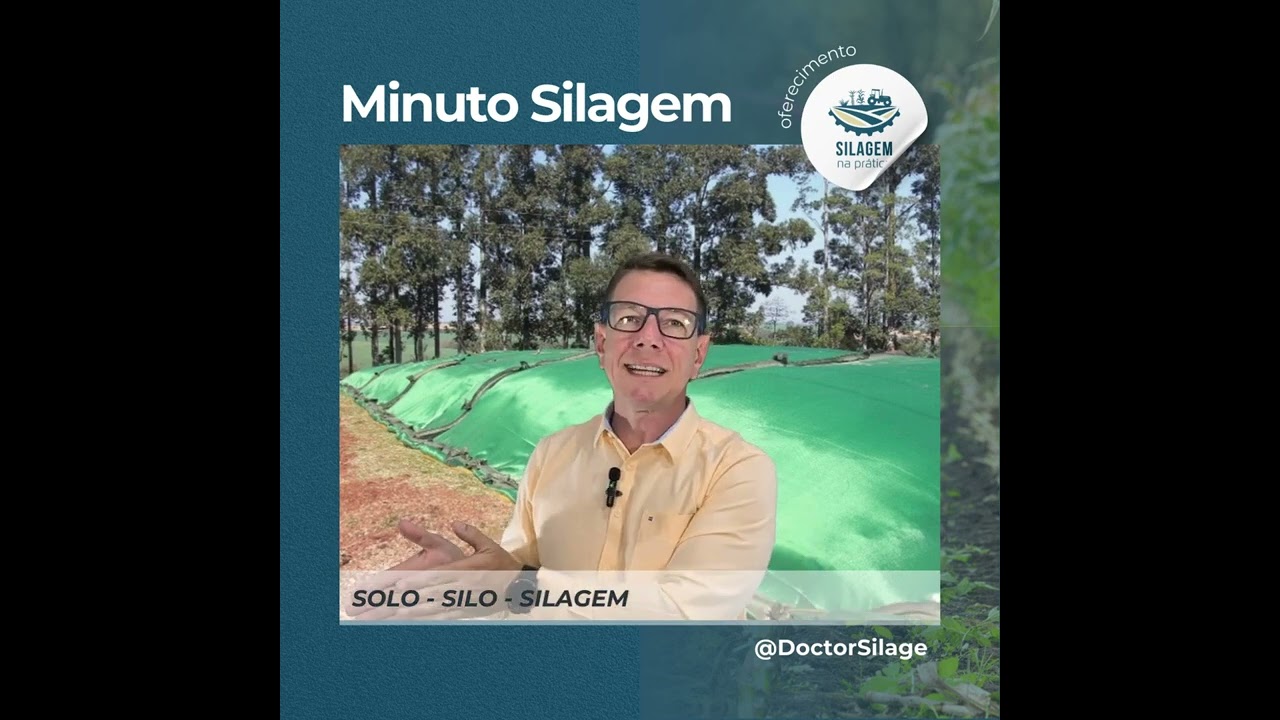 Quem é a pessoa encarregada do silo? Se você não tem, assista esse vídeos agora mesmo!