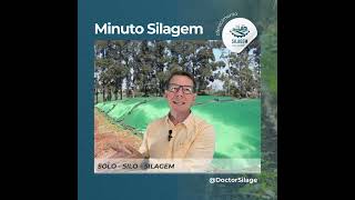 Quem é a pessoa encarregada do silo? Se você não tem, assista esse vídeos agora mesmo!