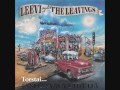 Leevi and the Leavings - Elisenda 