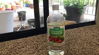 Vinegar Hacks : Remove Duct Tape Residue from glass door & window!!!!! #cleaning #vinegarhack