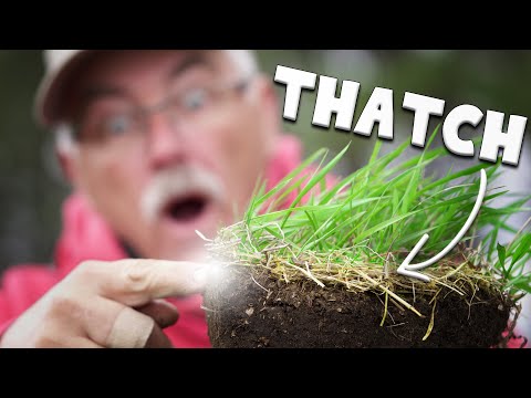 Your LAWN WON'T GROW because THATCH is...
