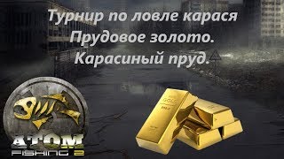 Atom fishing 2 где ловить карася на мотыль