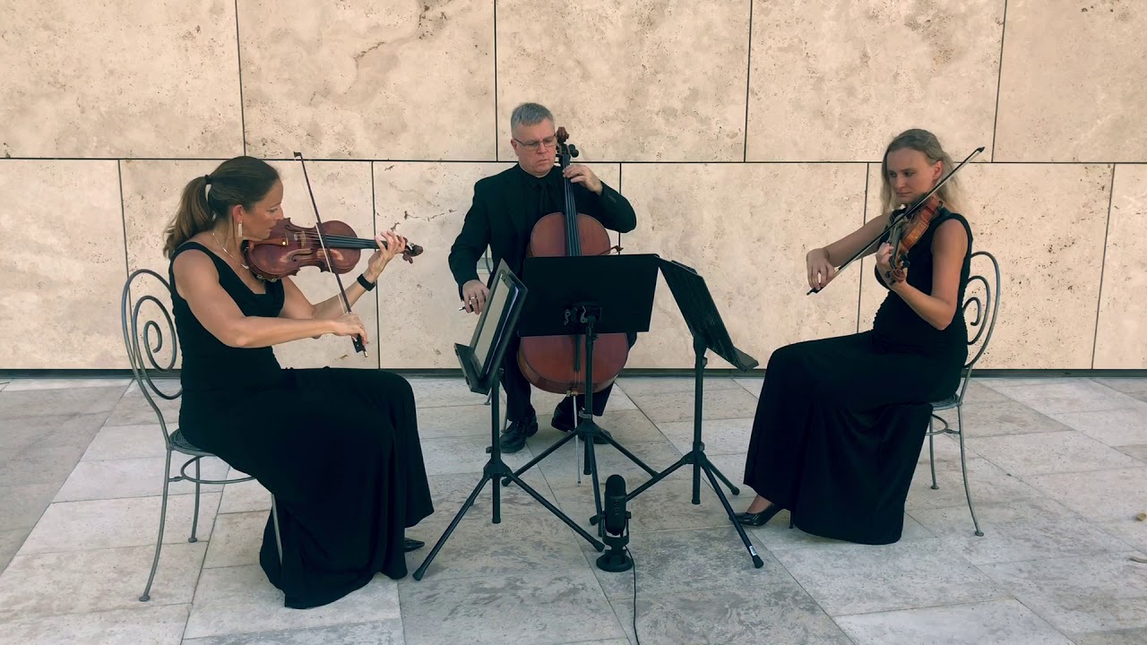 Promotional video thumbnail 3 for The Vanderbilt Strings