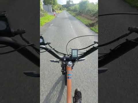 Radbikes Radburro Commercial Cargo bike - Image 2