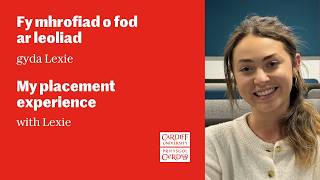 Lexie: on placement