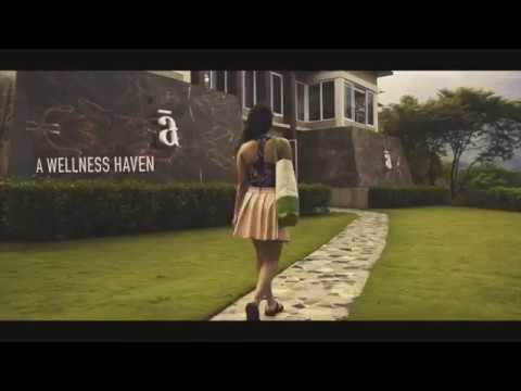 TIBRO EXPERIENCE   1