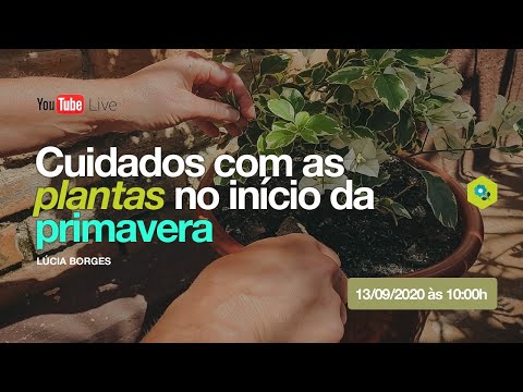 , title : 'Cuidados com as plantas no início da primavera - Live com Lucia Borges'