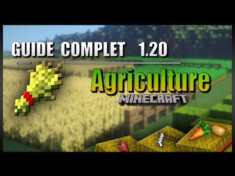 The ULTIMATE guide to FARMING in 1.19+ on Minecraft in SURVIVAL! [Fermes, Lumière, Récolte, ...]
