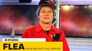 Flea Picks His Favorite Chili Peppers Song of All Time