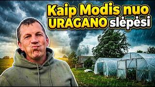 Kaip Modis nuo uragano slėpėsi