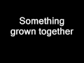 Flobots - Something Grown Together (lyrics)