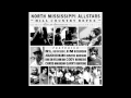 North Mississippi Allstars - Shimmy She Wobble