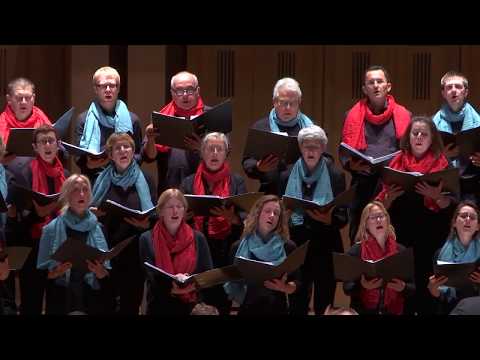 Nella Fantasia (extrait film Mission) - Ennio Morricone (arr. Audrey Snyder)