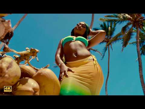 Nameless feat Marioo - Nasinzia II (Clip Officiel)