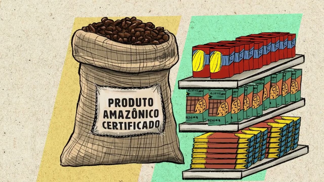 Cadeia e Mercado: Sustentabilidade das Cadeias Produtivas | Amazônia Sustentável e Produtiva