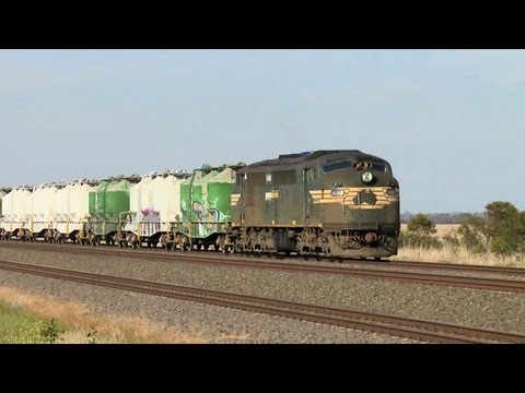 Pacific National Cement Train - PoathTV Australian Railways, Railroads & Trains