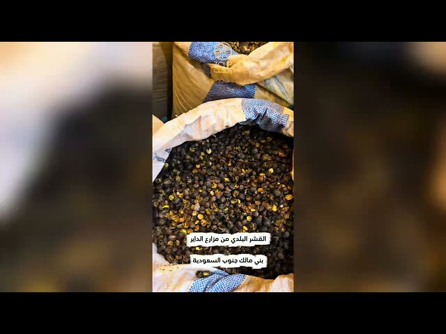 قشر البن الخولاني