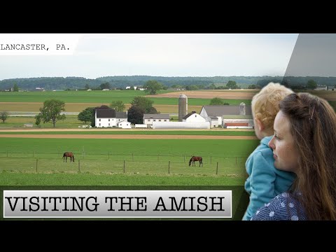 amish fogyás