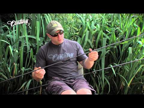 download lagu mp3 mp4 Century Ng, download lagu Century Ng gratis, unduh video klip Century Ng