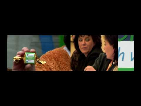 Hemelingen, EFRE Europawoche