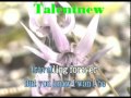 KARAOKE / LEO SAYER / WHEN I NEED YOU ...