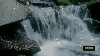 Download lagu IG & WA Story : Dian Anic - Cinta Ora Kuasa mp3