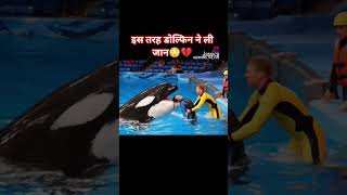 डॉल्फ़िन ने ली जान 😳😳💔 #youtubeshorts
