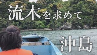 【沖島 もんて便り】流木集め