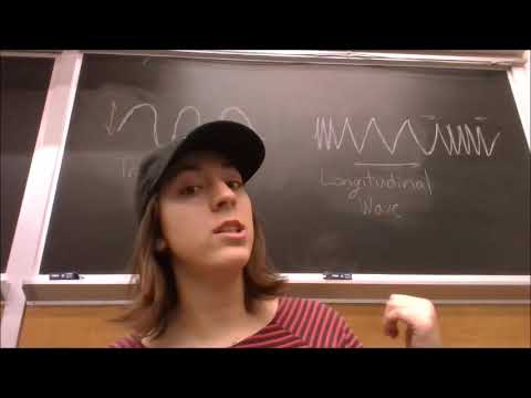 Science Ambassador Scholarship Entry: Lina Tenenbaum