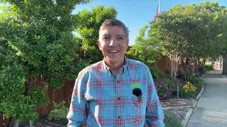 Should You Seed Your North Texas Lawn Expert Advice from Village Green