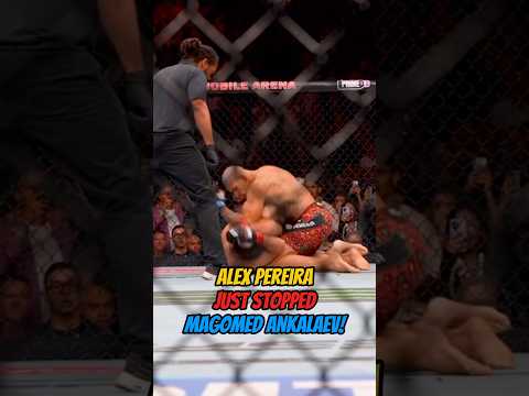 ALEX PEREIRA HAD NO PROBLEM STOPPING MAGOMED ANKALAEV IN ROUND 1!#trending #youtubeshorts #youtube