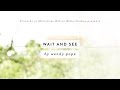 OBS: Wait and See Conference Call Series