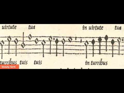 GOMBERT ADVANCED | beauty farm