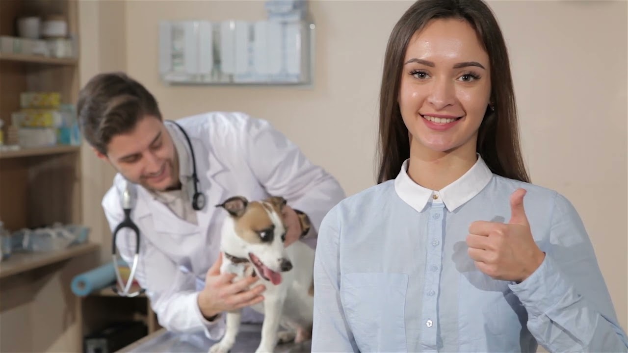 Etologos (Mascotizate Latam.tv)