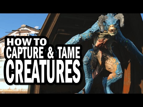 How to Catch and Tame Deathclaws, Raiders, and Other Creatures in Fallout 4 Wasteland Workshop DLC