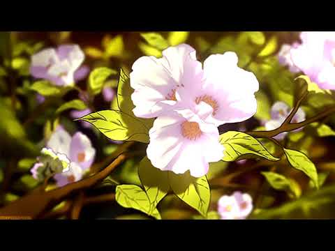 Ode To Nujabes - Sai Wai  The Sunflower Lotus