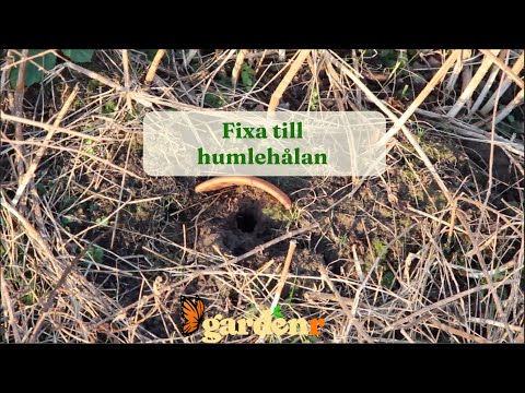 Fix the Bumblebee holes - Gardenhacks by GardenR