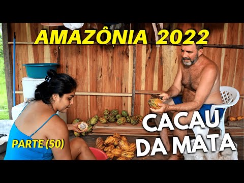 , title : 'DE VOLTA À COMUNIDADE DA MANGUEIRA (PARTE 50) CACAU DA MATA'