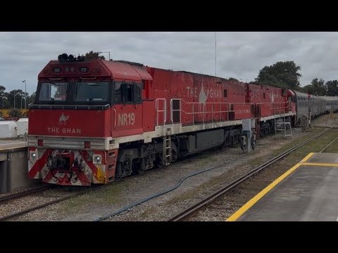 The Ghan at Keswick: 4DA8E & D103s with NR19 & NR18