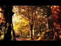 Dan Gibson's Solitudes - Mountain Sunrise 