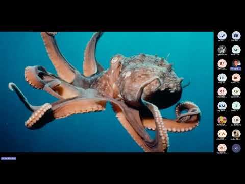 The Art of Visual Metaphor