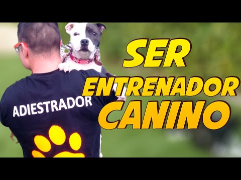 Being a Dog Trainer 🐶 | Advantages and Disadvantages 🤔