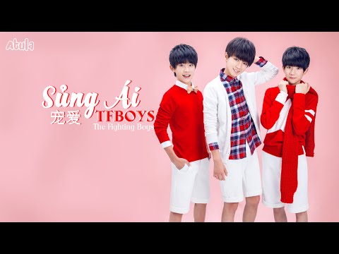 [Vietsub+Kara] Sủng Ái (宠爱) - TFBoys
