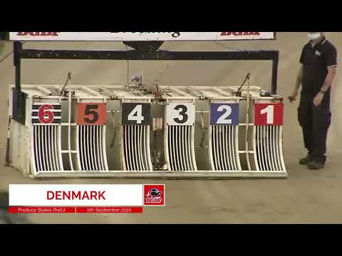 Swindon Produce Stakes Second Round - Heat 6 - Denmark