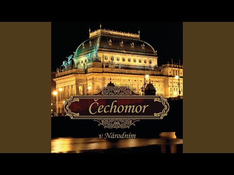 Jeste jsem neusnul (Live 2011)